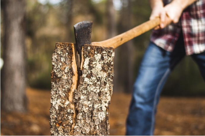 Forest Trade Shows in Canada