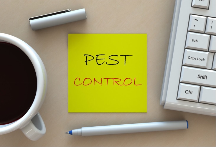 Pest control inspections