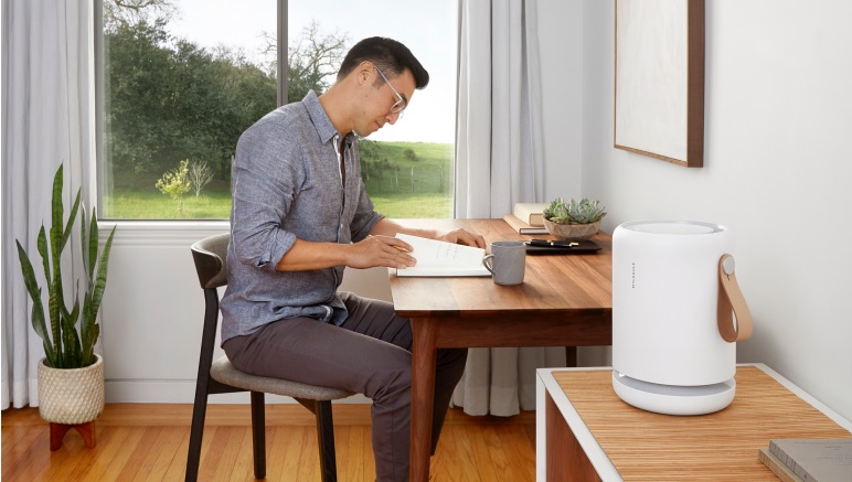Purifying the Air In Your Home