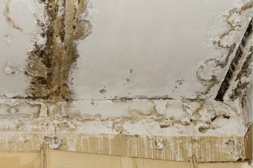 Fix Roof Leaks