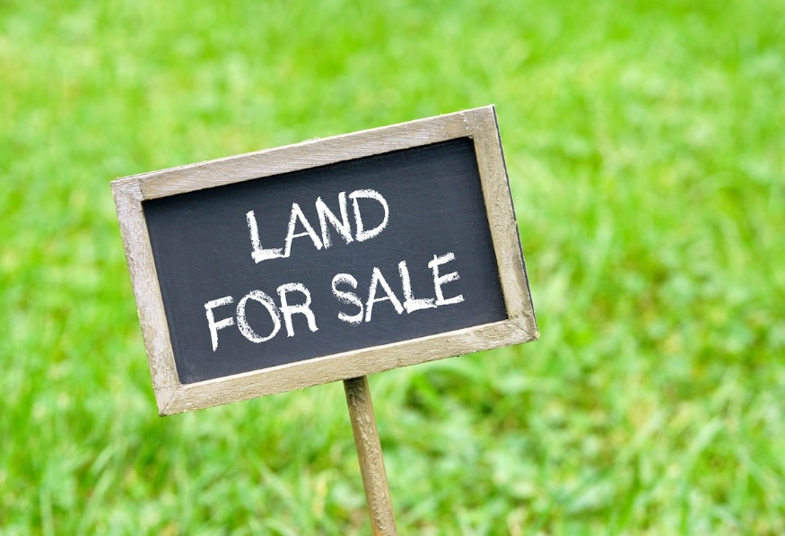 Maximizing the Value of Your Land: How to Attract Cash Buyers