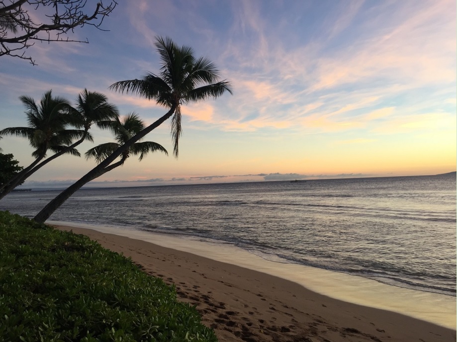 8 Great Reasons to Buy Property in Maui