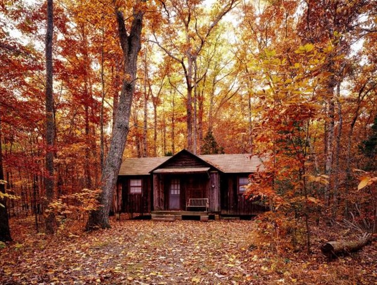 Log Cabin Restoration