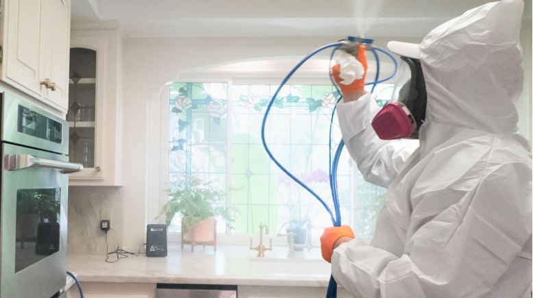 Mold Remediation in Los Angeles
