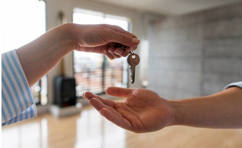 Professional Property Inspections