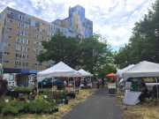 SOUTH WEDGE FARMERS MARKET