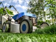 Landscaping Mistakes