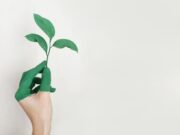 A painted hand holding a green leaf