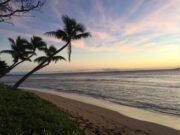8 Great Reasons to Buy Property in Maui