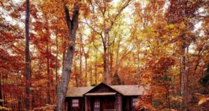 Log Cabin Restoration