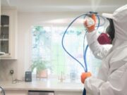Mold Remediation in Los Angeles