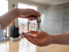 Professional Property Inspections