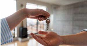 Professional Property Inspections
