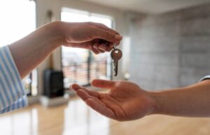 Professional Property Inspections