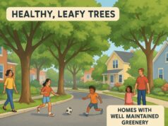How Proper Tree Care Benefits Communities