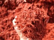 Mulch Provider in Chicago