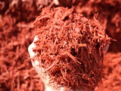 Mulch Provider in Chicago