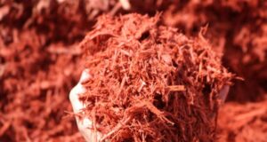 Mulch Provider in Chicago