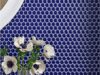 Home Interior Design Trends That Can Redefine Modern Living Spaces glossy blue porcelain penny round tile for walls and floors